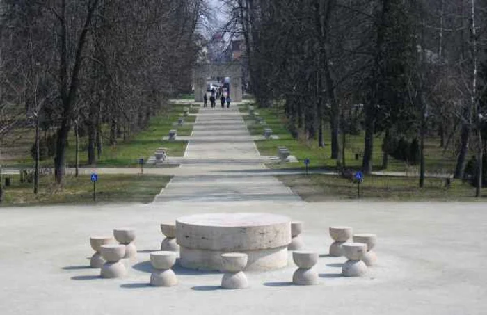 În parc sunt copaci cu vârste chiar şi de peste 100 de ani