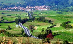 comuna boita jpg