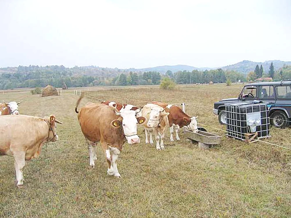 Animalele primesc apă cu porţia de la pompieri