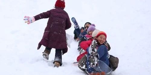 runc foto marius turc