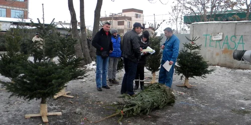 razie brazi ploiesti 1