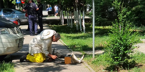 roi albine preluat slatina   foto info trafic slatina   ciprian obogeanu jpg