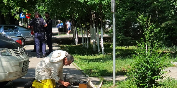 roi albine preluat slatina   foto info trafic slatina   ciprian obogeanu jpg
