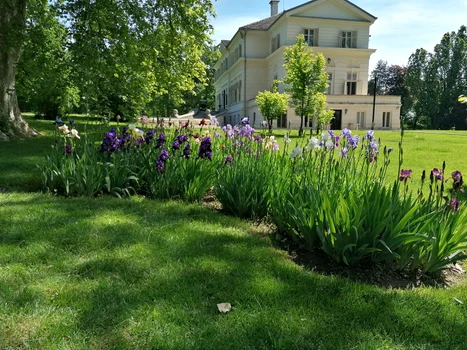 domeniul Săvârșin