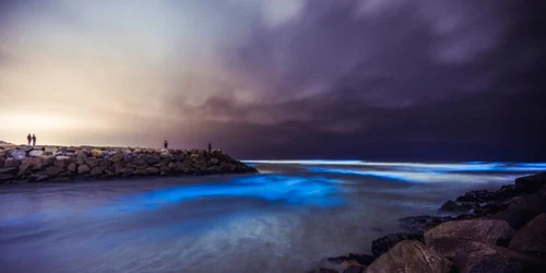 Valurile bioluminescente in sudul Californiei FOTO Twitter