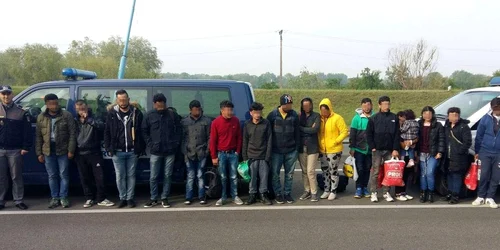 migranti arad
