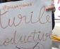protest alba romi