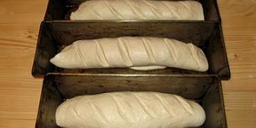 Satu Mare: Cartelul pâinii, în vizorul Oficiului Concurenţei-Revista presei locale