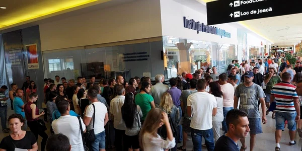 inmatriculari suceava. foto svnews.ro
