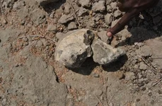 Un craniu cu o vechime de 3,8 milioane de ani zdruncină cunoștințele despre evoluția omului / VIDEO jpeg
