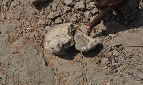 Un craniu cu o vechime de 3,8 milioane de ani zdruncină cunoștințele despre evoluția omului / VIDEO  jpeg