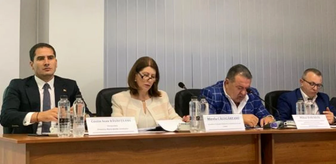 Mirela Călugăreanu ANAF