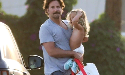 1 bradley main profimedia 0465969182 jpg jpeg