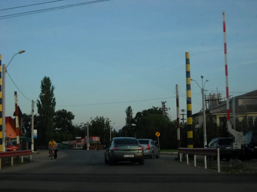FOTO: Arhiva Adevărul