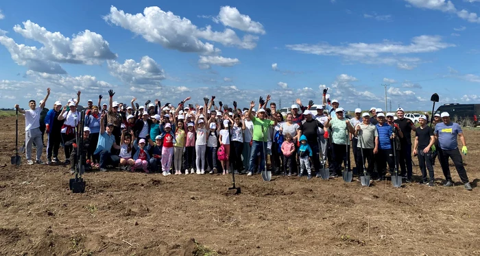 Localnicii din comuna Giuvărăști și-au plantat propria pădure / foto: Adevărul.ro