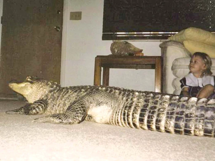 De aproape 20 de ani Thong creşte în bătătura thailandezului