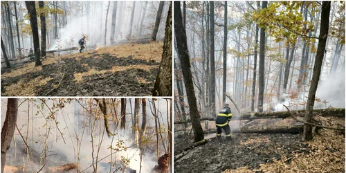 Incendiu de pădure in Hunedoara  Foto ISU hunedoara jpg