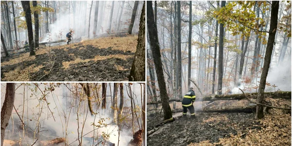 Incendiu de pădure in Hunedoara  Foto ISU hunedoara jpg