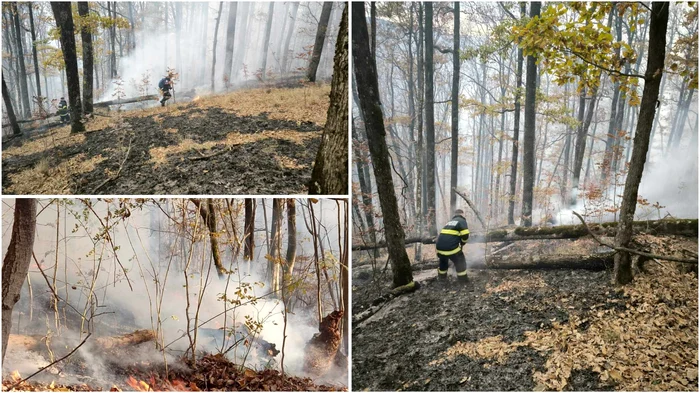 Incendii de pădure. Foto: ISU hunedoara