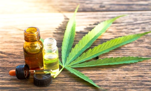 1 shutterstock 641825092 jpg jpeg