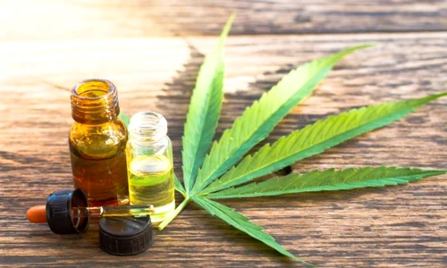 1 shutterstock 641825092 jpg jpeg