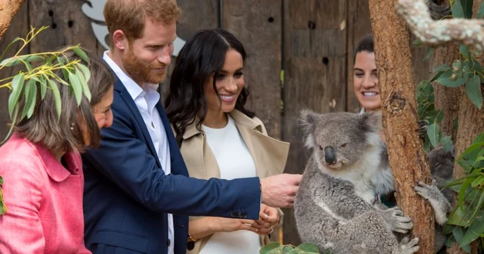 harry megahn markle foto getty images