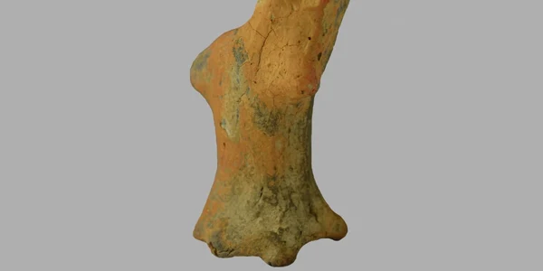 calarasi statueta rara la muzeul dunarii de jos FOTO MDJ
