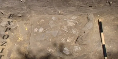arheologie