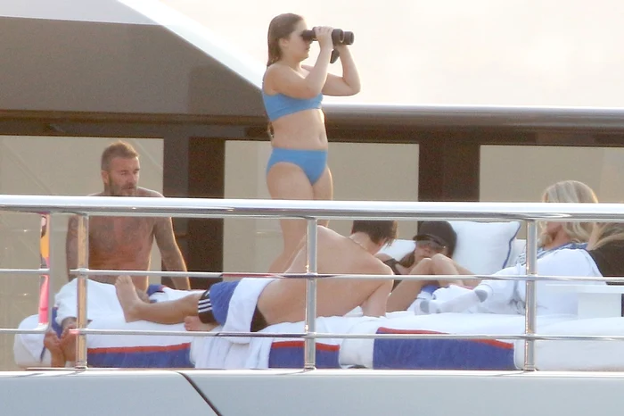 harper profimedia 0709848028 jpg