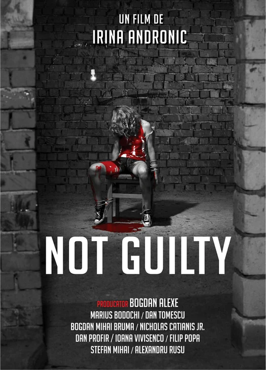 Poster 50cm x 70cm 21 10 2016 jpeg