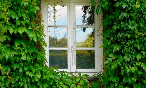 window 1679344 640 0 jpeg