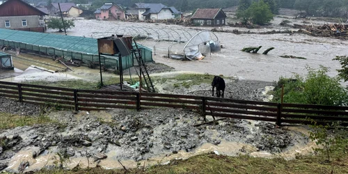 Inundații Suceava Foto IGSU 8 jpg