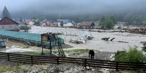 Inundații Suceava Foto IGSU 8 jpg