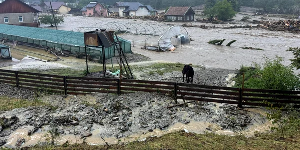 Inundații Suceava Foto IGSU 8 jpg