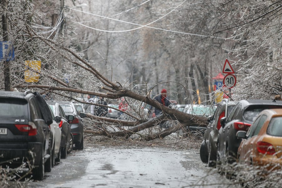 Mașini avariate în Capitală din cauza unor copaci prăbușiți