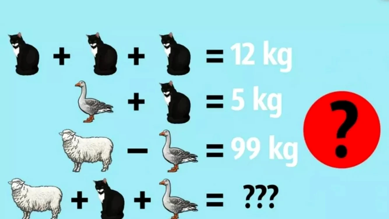 Testul trebuie rezolvat în 15 secunde
