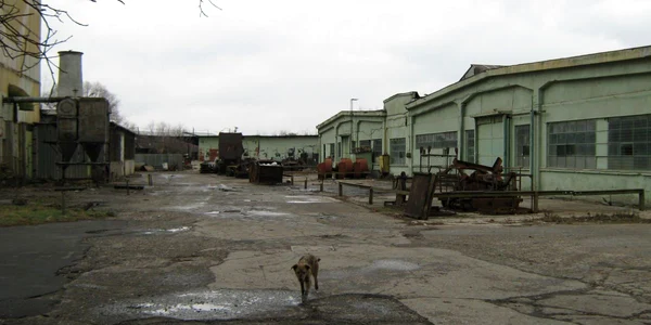 Pereţii halelor construite după 1964 au fost izolaţi cu azbest