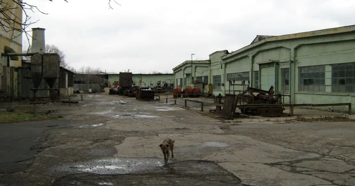 Pereţii halelor construite după 1964 au fost izolaţi cu azbest
