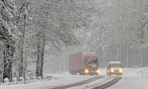 ninsori bulgaria jpeg