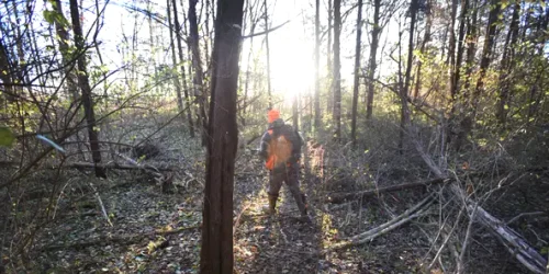 636485121715614731 120717AndoverBearHunt14 webp