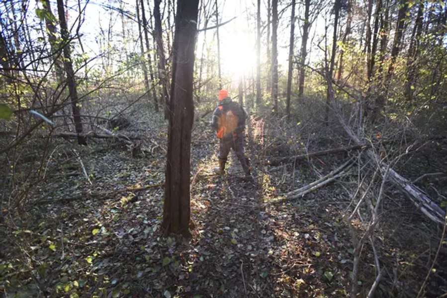 Urs împușcat în Virginia, vânător mort în accident de vânătoare | sursa foto: Adevarul Urs împușcat în Virginia, vânător mort în accident de vânătoare | sursa foto: Adevarul