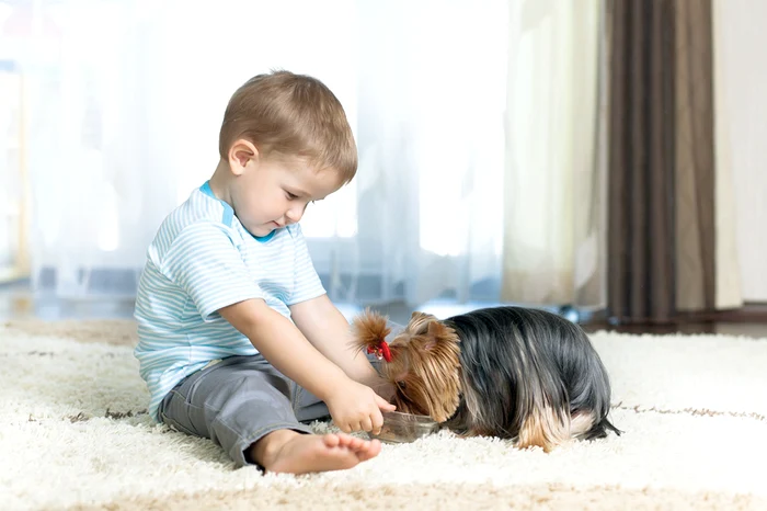 La 4-6 ani e suficient de mare încât să poată avea grijă de animalul de companie