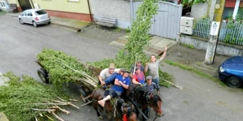 armindeni feldioara rusalii brasov