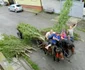 armindeni feldioara rusalii brasov