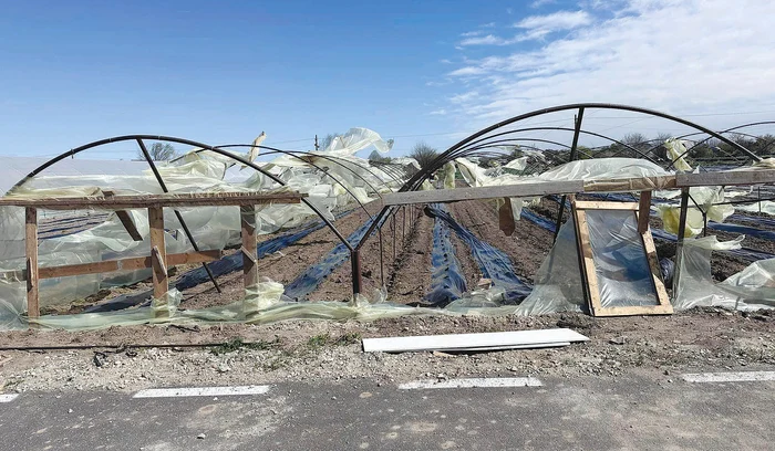 Sute de solarii din Oltenia au fost distruse de rafalele de 80-100 km/oră de marți, 2 aprilie