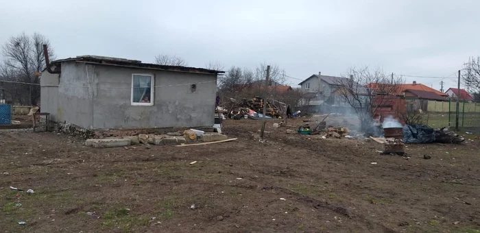 Aşa arată căsuţa care adăposteşte şase suflete