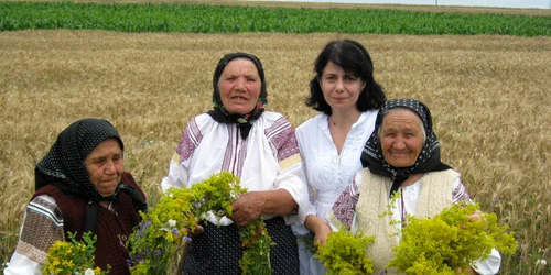 batrinele satului adunau flori tamaduitoare in ziua de dragaica   foto FB claudia Balas jpg