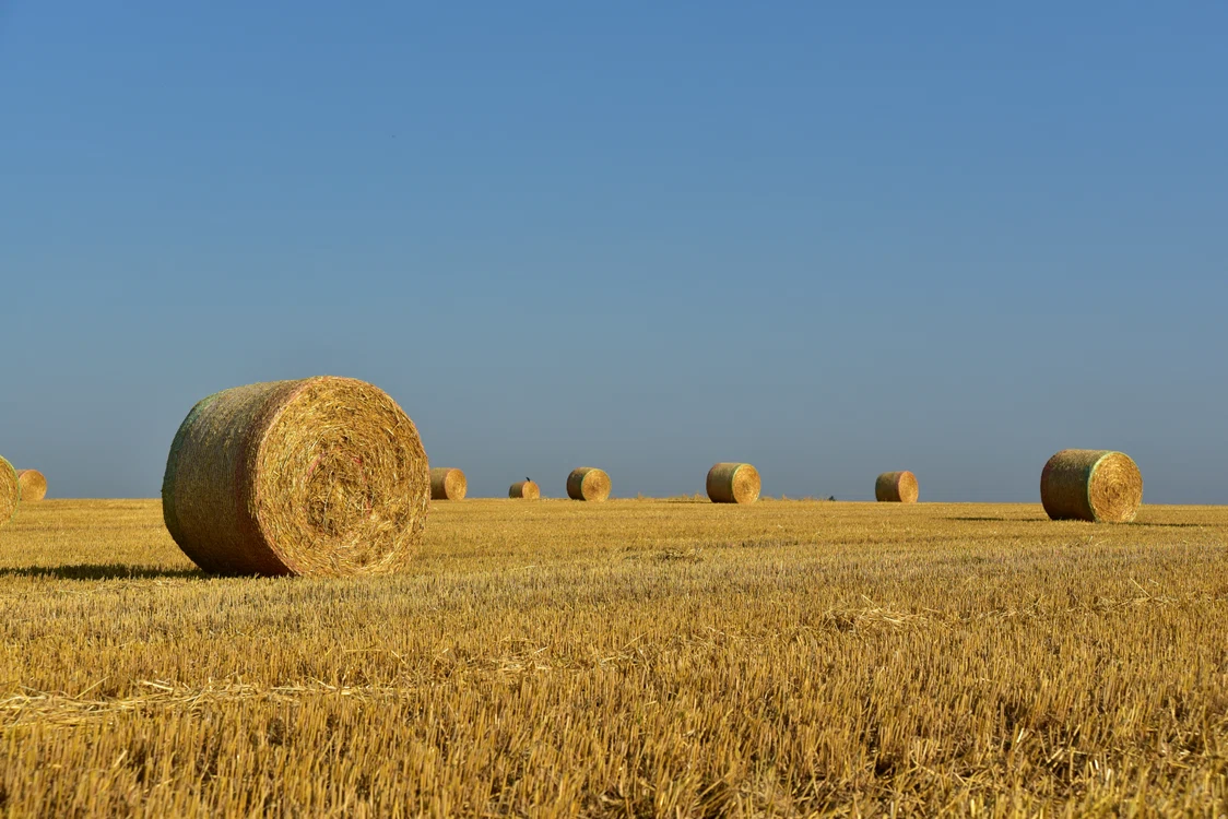 Casele din paie comprimate pot deveni de valoare în viitor / FOTO: Pixabay