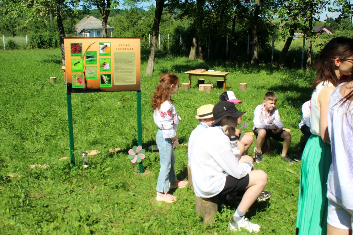 Copiii se adună și fac activități în acest parc tematic