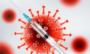 shutterstock 1887604471 ok jpeg